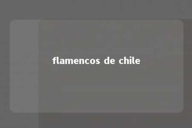 flamencos de chile 